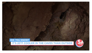 Whole new way to see the caves this summer